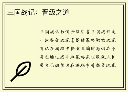 三国战记：晋级之道